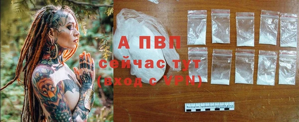 спиды Мегион