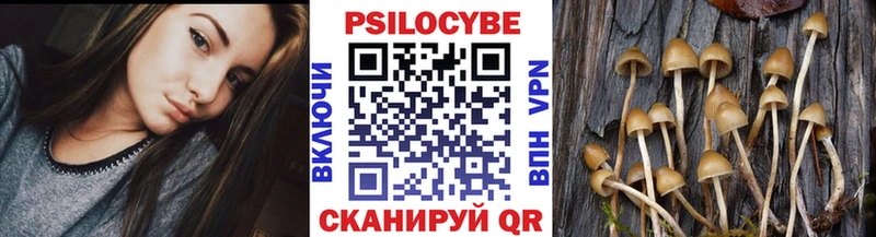 Псилоцибиновые грибы Psilocybe  KRAKEN ссылки  Новая Ляля 